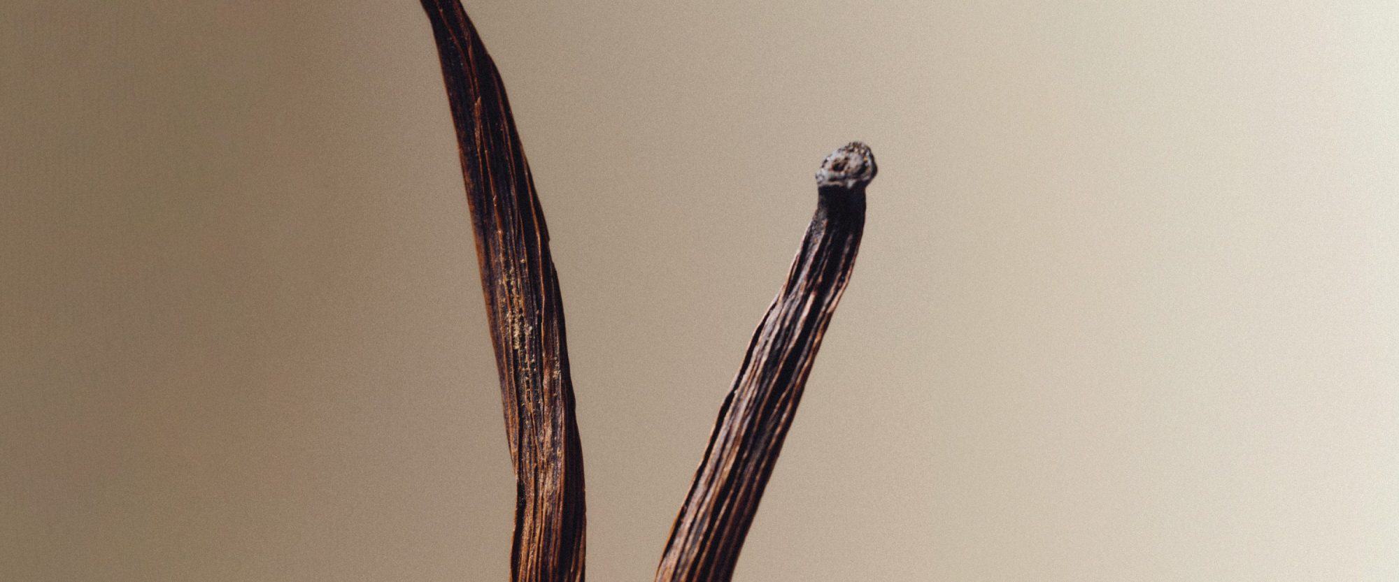 AMBARA NECTAR