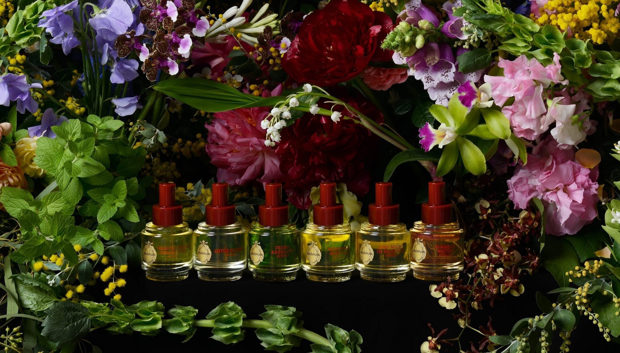 For Your Fragrance Discovery