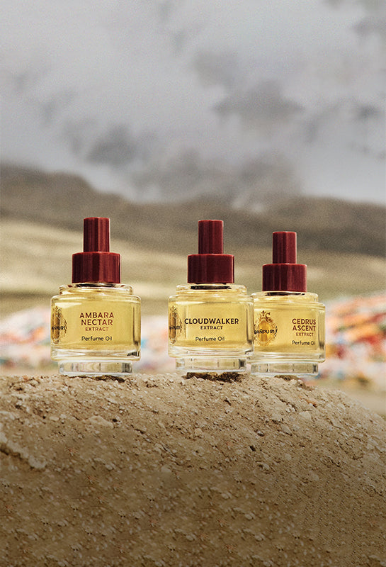 パンピューリ公式オンラインショップ｜Awaken Your Wellness Journey