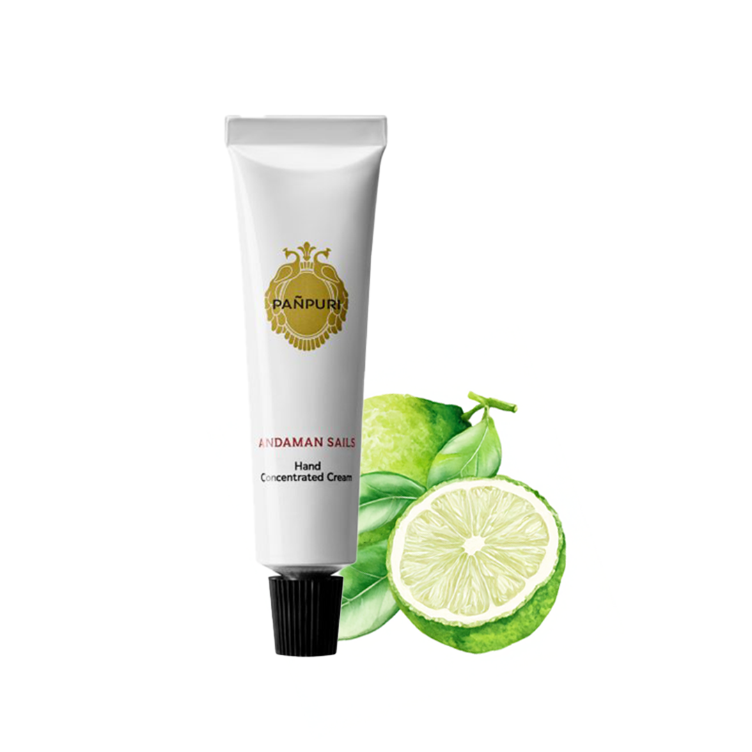 HOLIDAY COLLECTION 2024 – PAÑPURI HOLIDAY COLLECTION 2024 – PAÑPURI